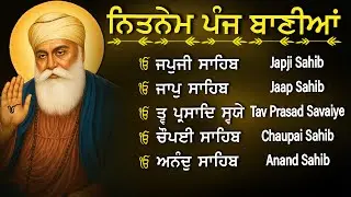 Nitnem Panj Bania  ਨਿਤਨੇਮ ਪੰਜ ਬਾਣੀਆ | Nitnem Sahib Full Path | japji sahib | Vol-10046 #nitnem