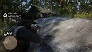 Red Dead Redemption 2 RDR2 Gameplay - How to Weapons Expert 4 Challenge