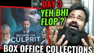 RUNWAY 34 BOX OFFICE COLLECTION DAY 3 | AJAY DEVGN | AMITABH BACHCHAN | FLOP ?