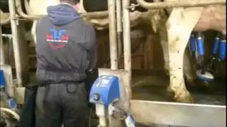 Milksolutions - Heuptas en Dairy Towel Wet