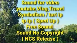 Electro-Light & Sped Up Sounds - Symbolism/turi ip ip ip(Sped Up)