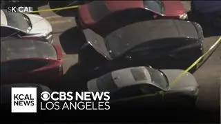 Police discover dead body inside car at Hollywood tow yard