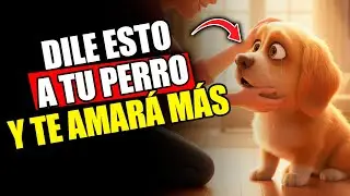 12 palabras que hacen que tu perro sepa que lo amas (al instante)