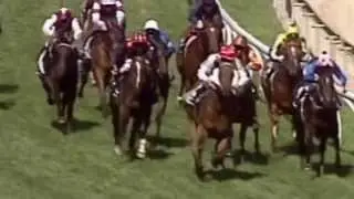 2009 Blue Diamond Stakes- Reward For Effort
