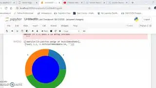 python donut plot