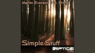 Simple Stuff (Original Mix)