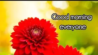 anjana Kumari  is live!good morning☕☕