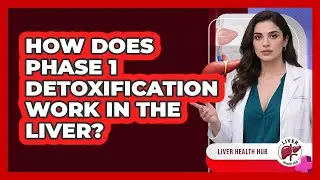 How Does Phase 1 Detoxification Work In The Liver? - Liver Health Hub