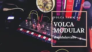 Volca Modular | Behringer Digital Delay/Reverb Effect Pedal Meet Volca Modular
