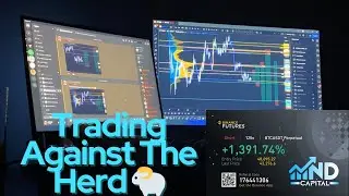 How to trade against the herd. Trapped Traders & Failed Auctions Explained. Traders Academy