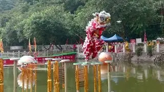International lion dance contest held in S China