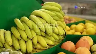 Top 10 Foods to Detoxify Your Body from Smoking!