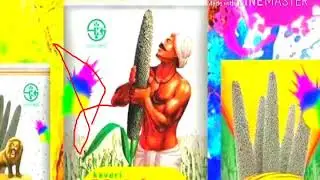 Kaveri seed company ltd maximo bajra song