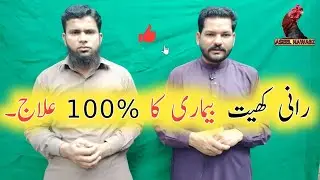 Ranikhet disease treatment