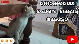 ഒന്നു നോക്കമ്മേ 😂