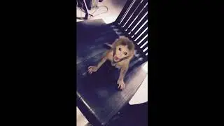 One of the moments from meeting with someone special 🐵