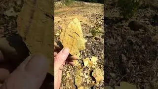 Rare Artifacts in North Carolina. #archaeology