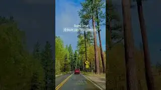 ❄️ Scenic Drive Through South Lake Tahoe Town | Winter Wonderland Vibes! 🚗🌲