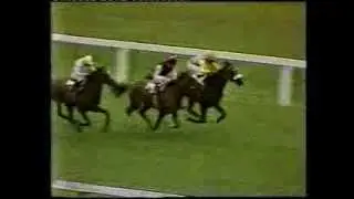 1983 St. Leger Stakes