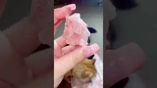 Pink Halite Unboxing