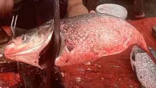 I never seen ll giant silvercarp fish cutting live skills by expert fish cutter in Bangladesh 