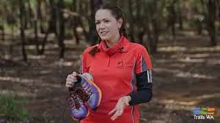 Women In Hiking - Trails WA Top Tips
