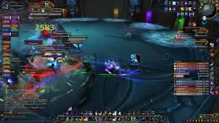Вестники последней битвы VS The Nine Mythic, Shadow Priest (Night Fae) [Reclear]