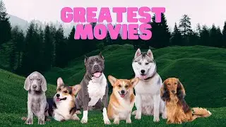 Greatest Dog Movies of All Time