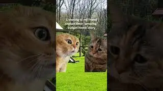 You Won't Believe My Friend's Budget Hostel Story!