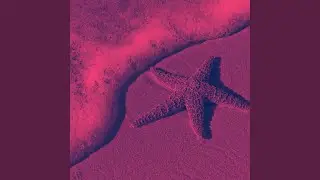 Elegant Ambiance for Beach Trips