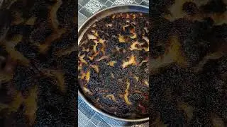 Berhampur famous  Khira podo pittha #khirapodapitha #khirasaku #odiyafood #easyrecipe #ytshorts