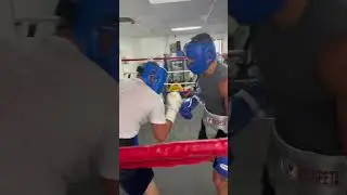 SUBSCRIBE for LIVE Sparring and more boxing behind the scenes. #BOXING 🥊 #boxing