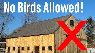 Building Barn Swallow Nest Boxes - A New Home After Eviction from INSIDE the Barn