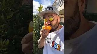 ASMR O O AMERICA'S FUNNY VIDEO 2025 #shorts #viral #trending 7385