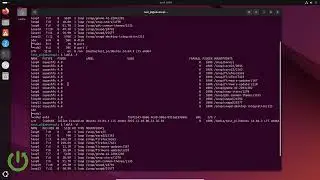 How to use lsblk command on Linux