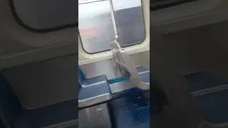 Septa EL train