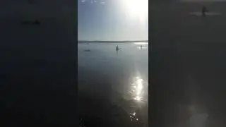 Starnberger See, Strand am Buscharner Seewirt