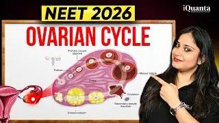 Ovarian Cycle Explained | Follicle Maturation & Hormonal Control of Ovulation | NEET Biology 2026