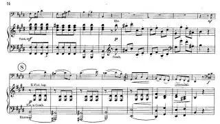 Dittersdorf - Double Bass Concerto in E, 3rd Mov. (piano accompaniment)
