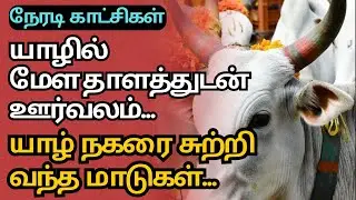 இன்று யாழில் நடந்த விழா.. கூடிய மக்கள் 