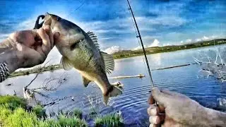 Bass Fishing After Work