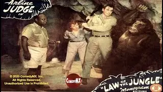 Law of the Jungle | Full Movie | Arline Judge | John 'Dusty' King | Mantan Moreland