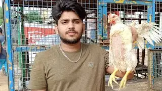 India ka sabse speed chicken cutting karigar fresh chicken cutting skill best style chicken cutting