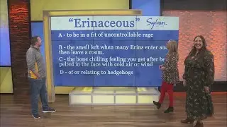 Sylvan Learning Trivia: Meaning Mix-Up Part 7