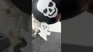 Flying ghost experiment 👻✨ #science #experiment #ideasforkids
