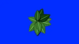 Blossom Leaves - Blue Screen Animation Footage