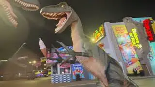 Night Walk on Clifton Hill 2026 #nightwalk #cliftonhill
