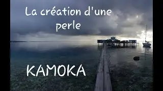 La cr&eacute;ation d'une perle de Tahiti - Kamoka