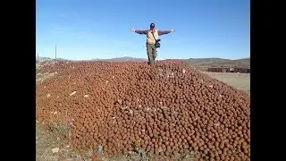 I FOUND A MOUNTAIN OF CANNON BALLS! (or did I?)