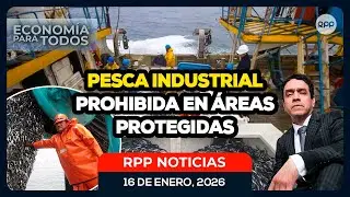🎣 Pesca industrial fuera de áreas protegidas: impacto económico y ambiental #ECONOMIAXTODOS